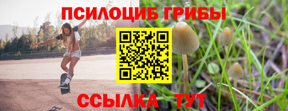Псилоцибиновые грибы Psilocybine cubensis  Псилоцибиновые грибы прущие грибы  Фурманов  Вход с VPN 