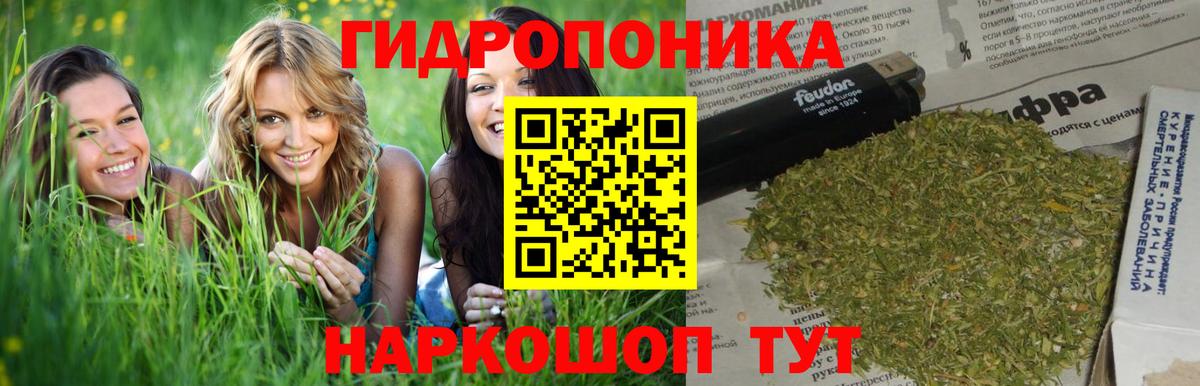 Бошки Шишки семена  Вход с VPN  Каннабис марихуана  Фурманов 
